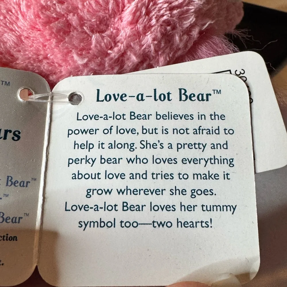 Care Bears Love-a-Lot Bear Special Edition Fluffy Lil’ Bear Series 2 NWT